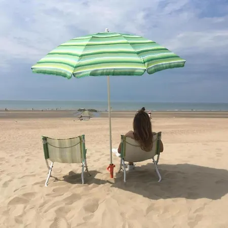 Apartmán In Belgium 100m From The Sea, Cleaning Included *