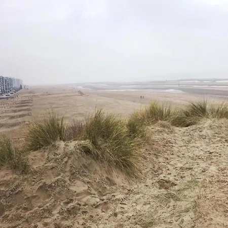Apartmán In Belgium 100m From The Sea, Cleaning Included