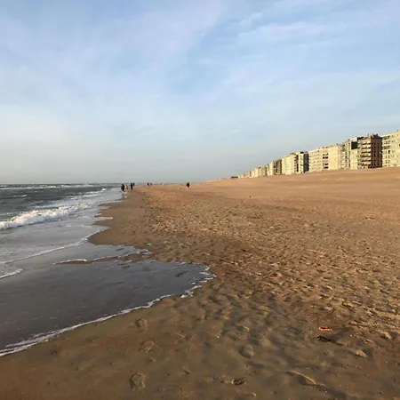In Belgium 100m From The Sea, Cleaning Included Apartmán Koksijde